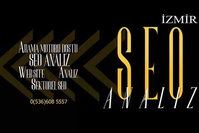 Seo Analiz